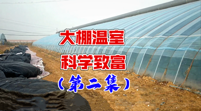 青島風全溫室配套有限公司